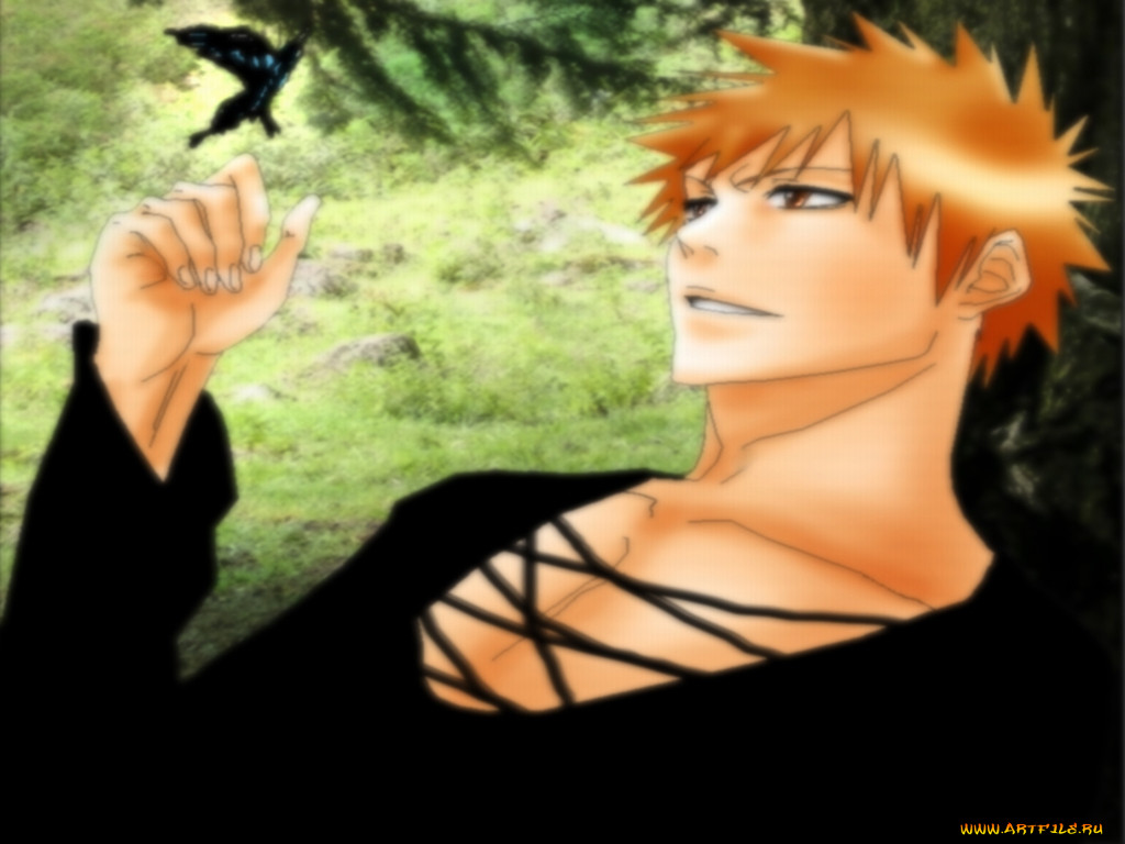 , bleach